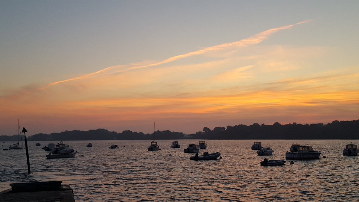 PerrodoPierr's tweet photo. Stages de pêche en mer dans le Golfe du Morbihan. Renseignements ici :
https://t.co/90QNjc9SgY
#guidagepechemorbihan #perrodo https://t.co/2vGgD0UWX5