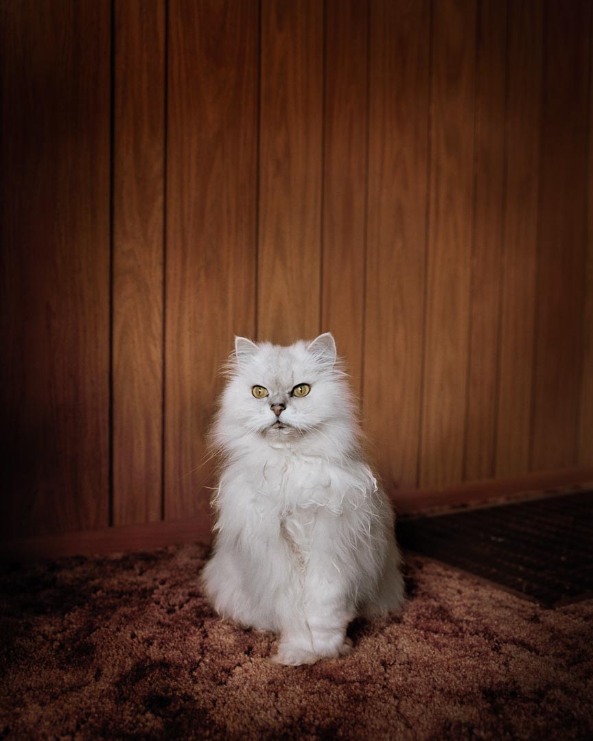 HUCKmagazine's tweet photo. Todd Hido's voyeuristic lens captures suburbia's magnetic mystique: https://t.co/gl5lvvsVG7 @toddhido #Huck62 https://t.co/COgJ73KGeq