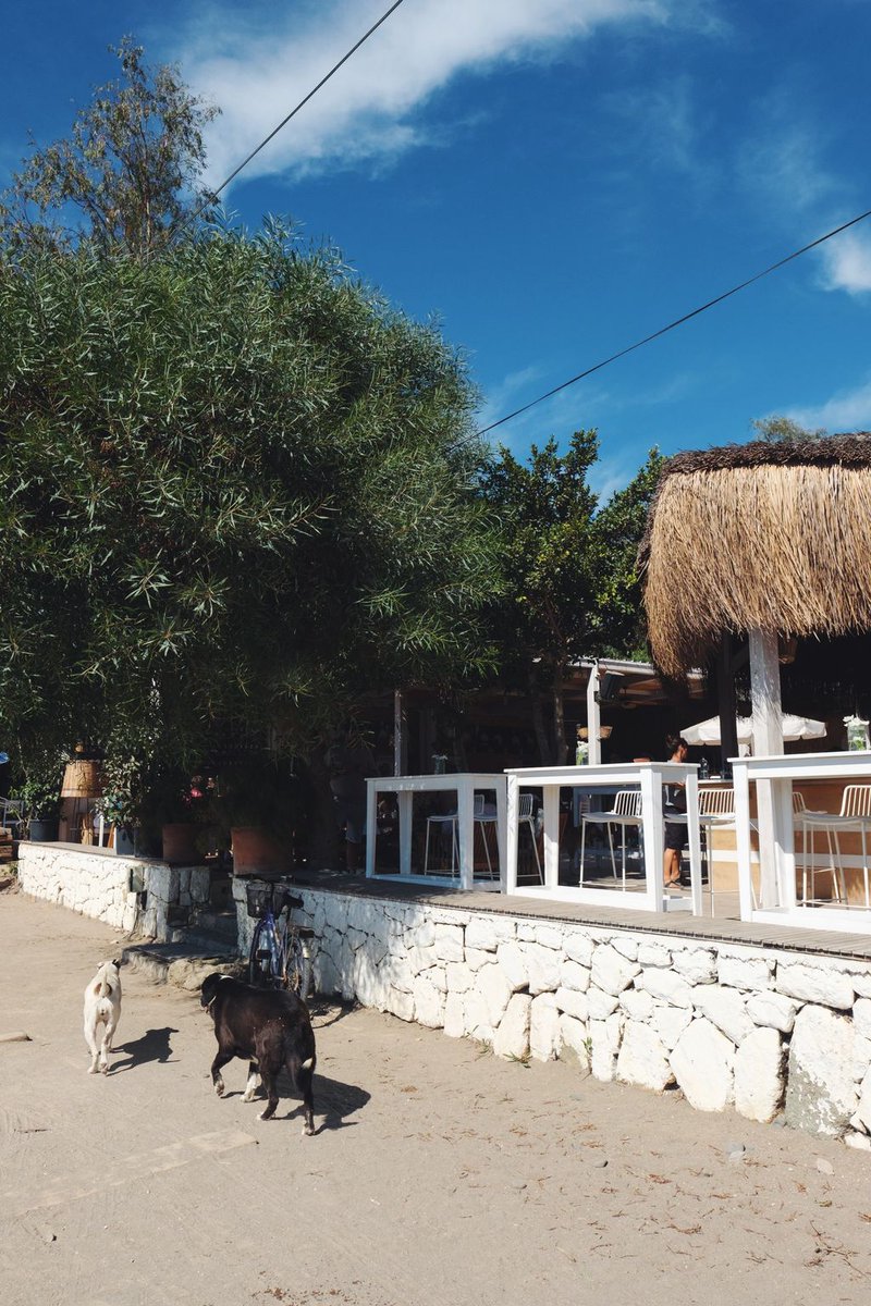 OffGumusluk's tweet photo. Pastırma yazı zamanı, hava ve deniz muhteşem 🌤️🌿🍁
#offgümüşlük #bodrum #gümüşlük #pastırmayazı https://t.co/Oef9CMZMN1