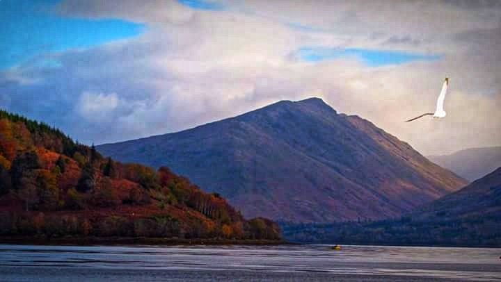 PatsyDuffy3's tweet photo. Some places are so beautiful and peaceful they take your breath away. This is one from my collection taken in Loch Fyne, Scotland 💜 https://t.co/U5e2RWixAy