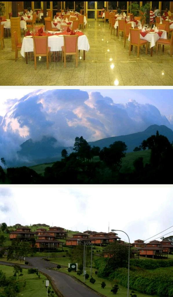 mercy_mma's tweet photo. This is Nigeria. 
This is Obudu Cattle Ranch 👌now, Obudu Mountain Resort. 
#AfricanIsBeautiful 
#AFUniWk 
@aau_67 
Photo Credit: Onila https://t.co/wJM0e8Z7Nm