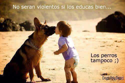 Una buena educación lo es "todo". 

Tanto si eres padre 🙎‍♂️ / madre 🙎, como si tienes mascotas 🐶🐱🐭🐰🐨🐽🐍. 
Predica con el ejemplo y comprométete. 
#ElNuncaLoHaria #GComprometidos 
#GuardiaCivil 📲062