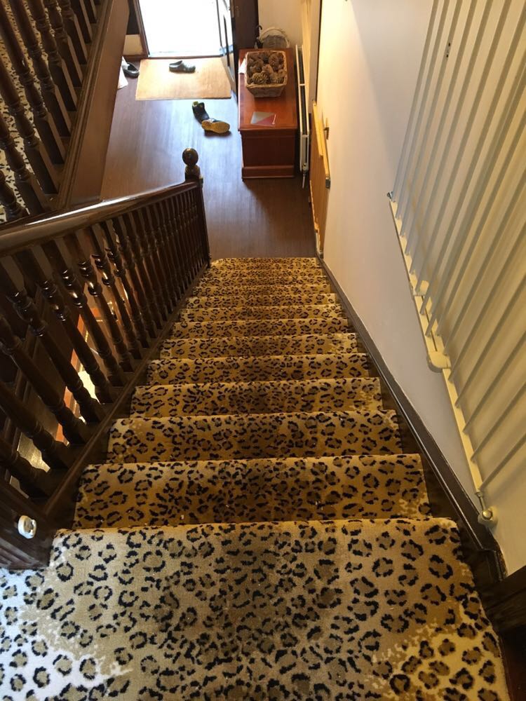 Animal Print Carpets tweet media