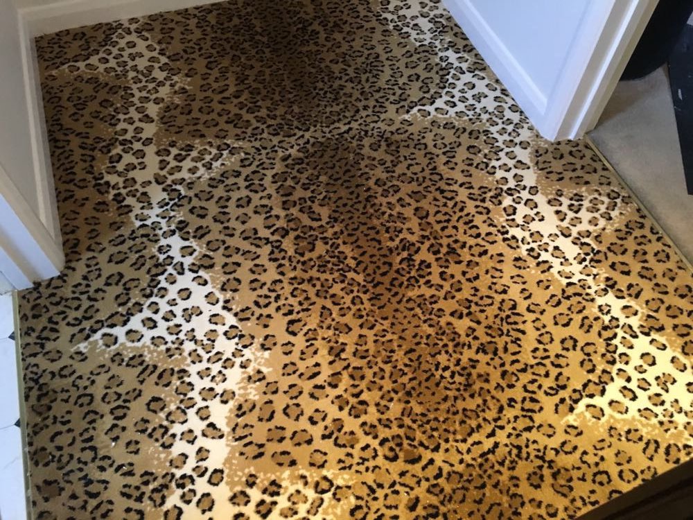 Animal Print Carpets tweet media