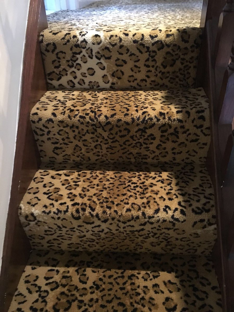 Animal Print Carpets tweet media
