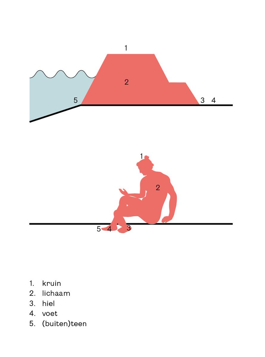 HWBP_nl's tweet photo. Dijken lijken op een bepaalde manier op mensen. De #dijk heeft niet toevallig een kruin, een teen, een voet en een lichaam van de mens gekregen. Bekijk hier de anatomie van mens en dijk. #dijkwerkers(t)weetje https://t.co/YXWlkkgRaA