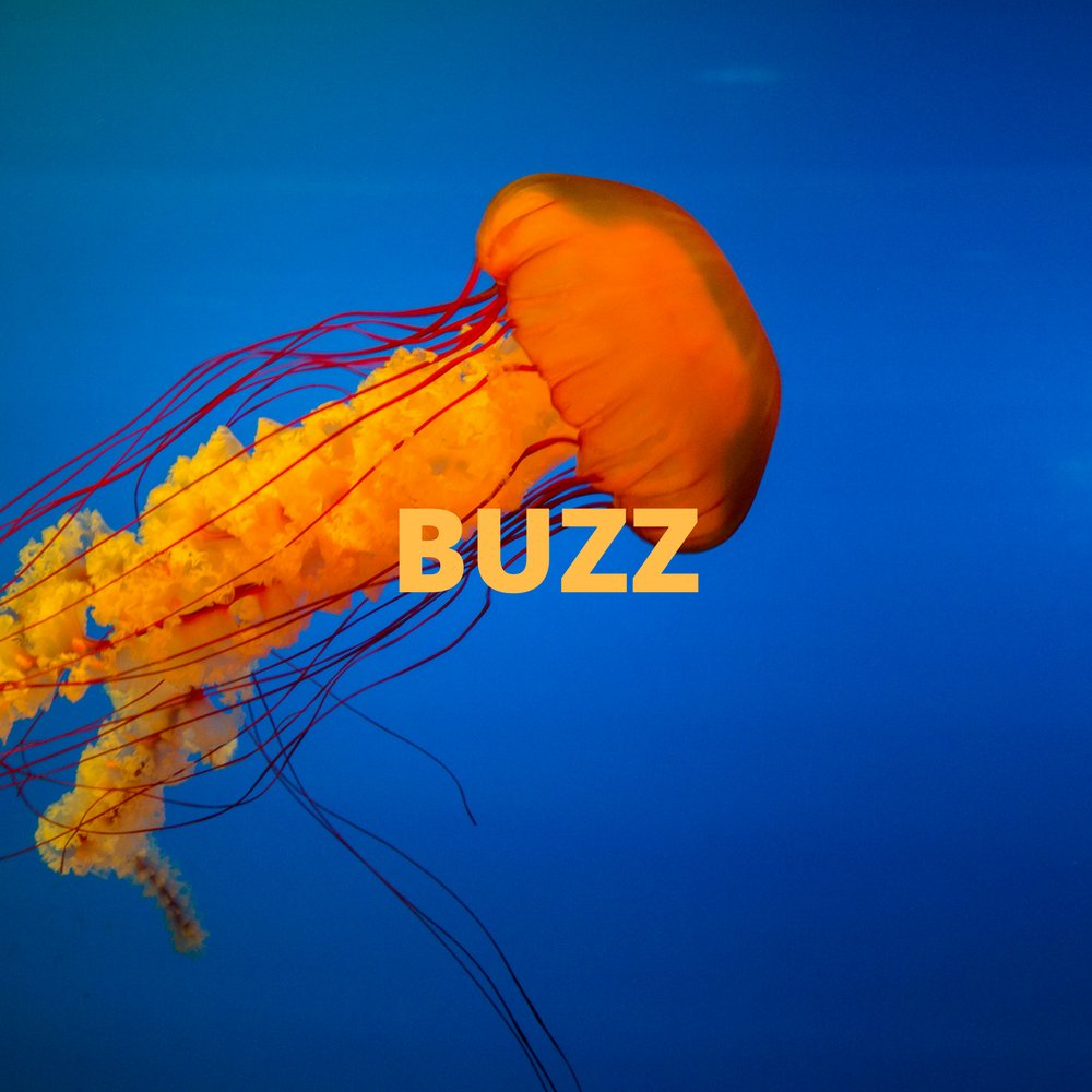 npsmusic's tweet photo. 10 sterke nye låter inn på ukens buzzliste. Sjekk ut her: https://t.co/bk9brnE73x #flexhart #Gåte #No4 #Sparkx #Anderson #Buzz https://t.co/gJjhc0vqZg