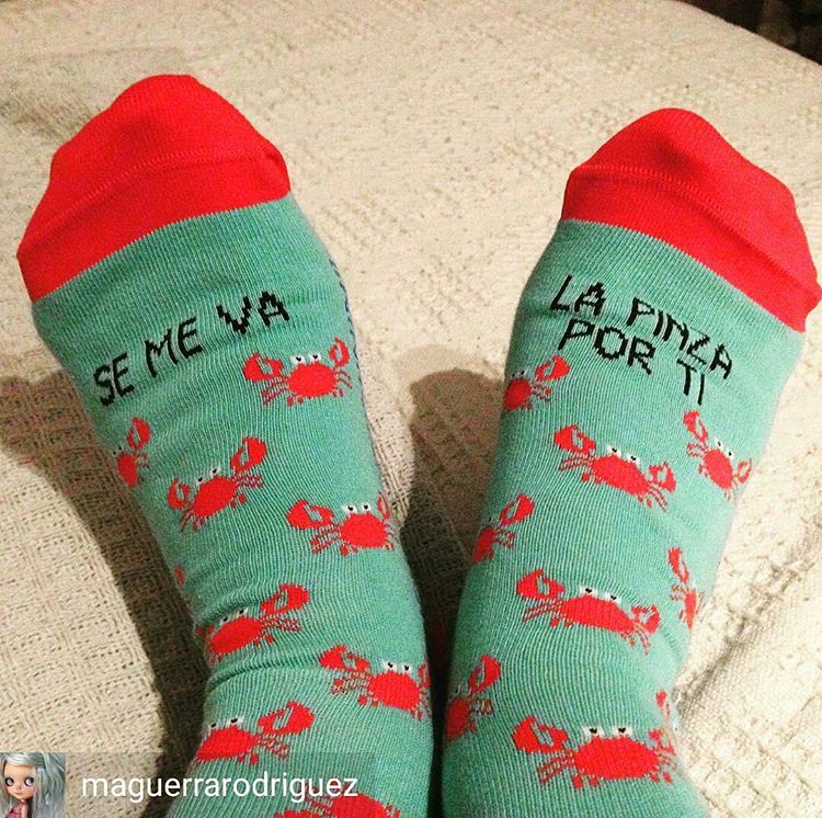 socksmarket's tweet photo. FelizMiercoles! A algún #SocksFan se le va la pinza...y a nosotros..... 😵 Mañana 9/N abrimos para que os podais pasar a comprar #calcetinesmolones
Mil gracias @maguerrarodriguez por la foto! https://t.co/kBei77I4uk