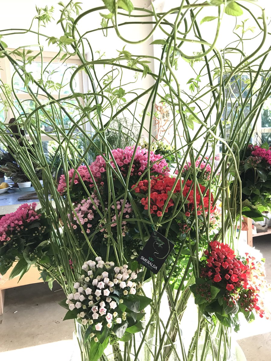 PatruccoIdea's tweet photo. Smeralda Green Show @ FHTF &amp; IFTF https://t.co/UrfKxhH9ty