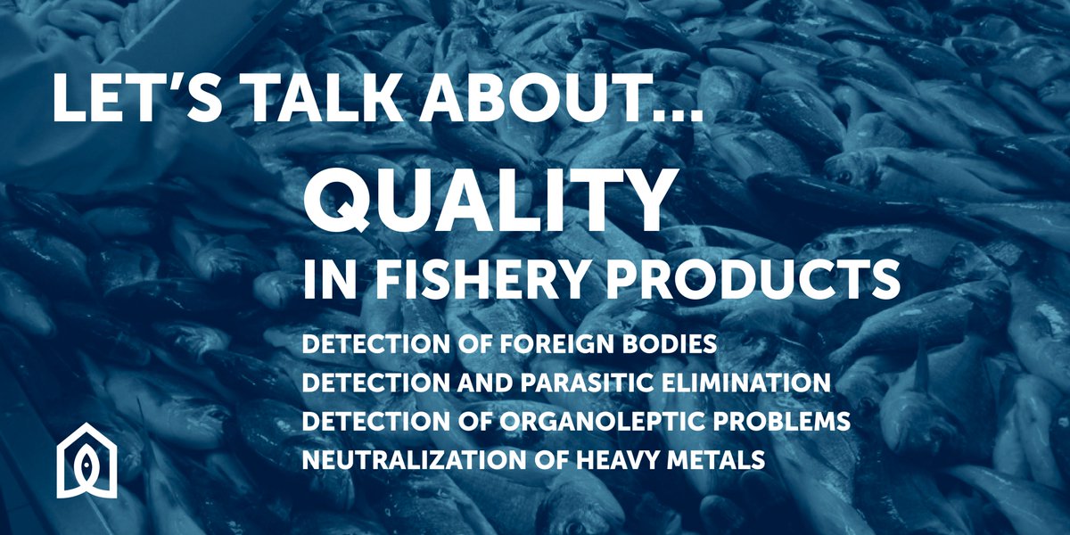 Something amazing about innovation is that there is always so much to do...Here you can find some ideas about how we can improve the fishing industry through technology.