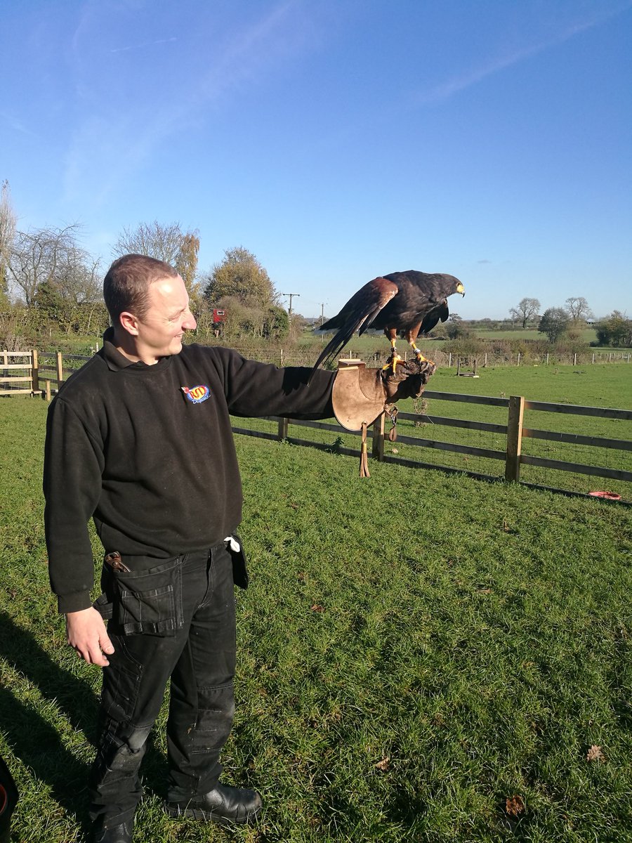 Thanks to <a href="/BeaksandTalons/">Beaks and Talons</a> for letting our engineers feed Harley!