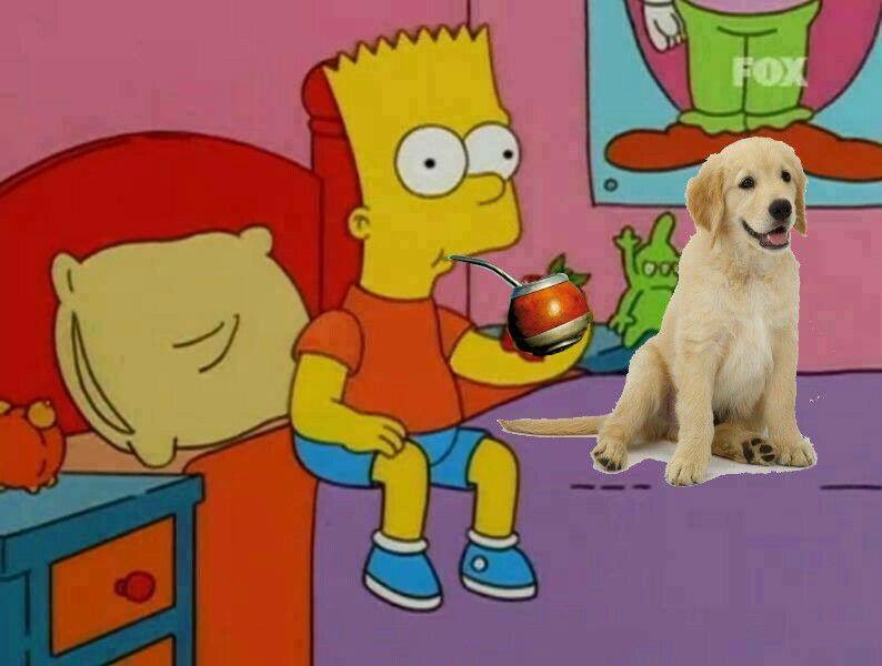 Pablitogiann's tweet photo. Mirenlo ahí ,tomando mate y  con el perro al lado , Qué estará tramando?...
#ChetaDeNordelta https://t.co/MHe80pKRLj