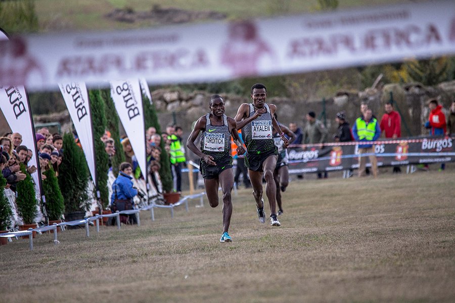 Run Online TV - M10 Comunicación tweet media