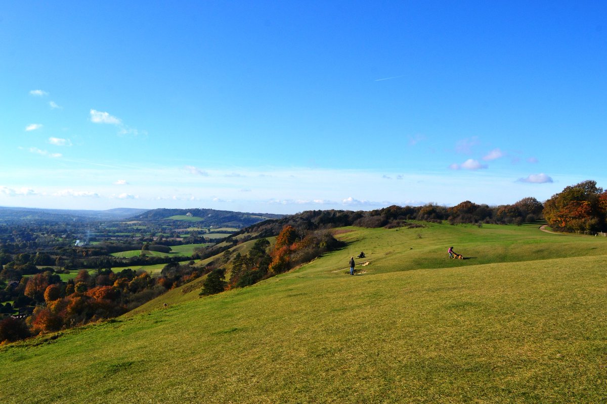 FoodChatMatt's tweet photo. So privileged to have @GattonPark &amp; #Reigate Hill right on my doorstep... #autumn https://t.co/out8PZ3xbq