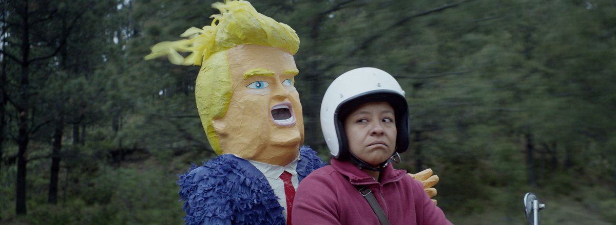 bfinetwork's tweet photo. In the mood for a good Trump bashing? Our latest #NETWORKPick will not disappoint: https://t.co/mZNqDrTZmY https://t.co/lCY2jZp11i