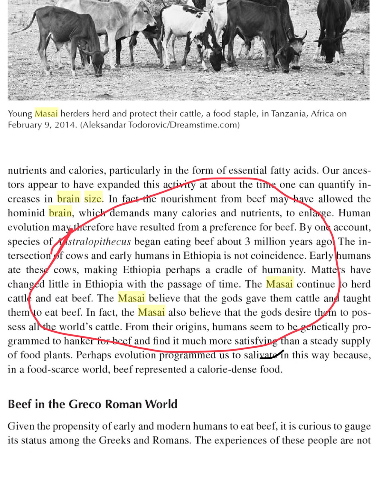Dr Shawn Baker ©️ on Twitter "Beef! It’s been on the menu for 3