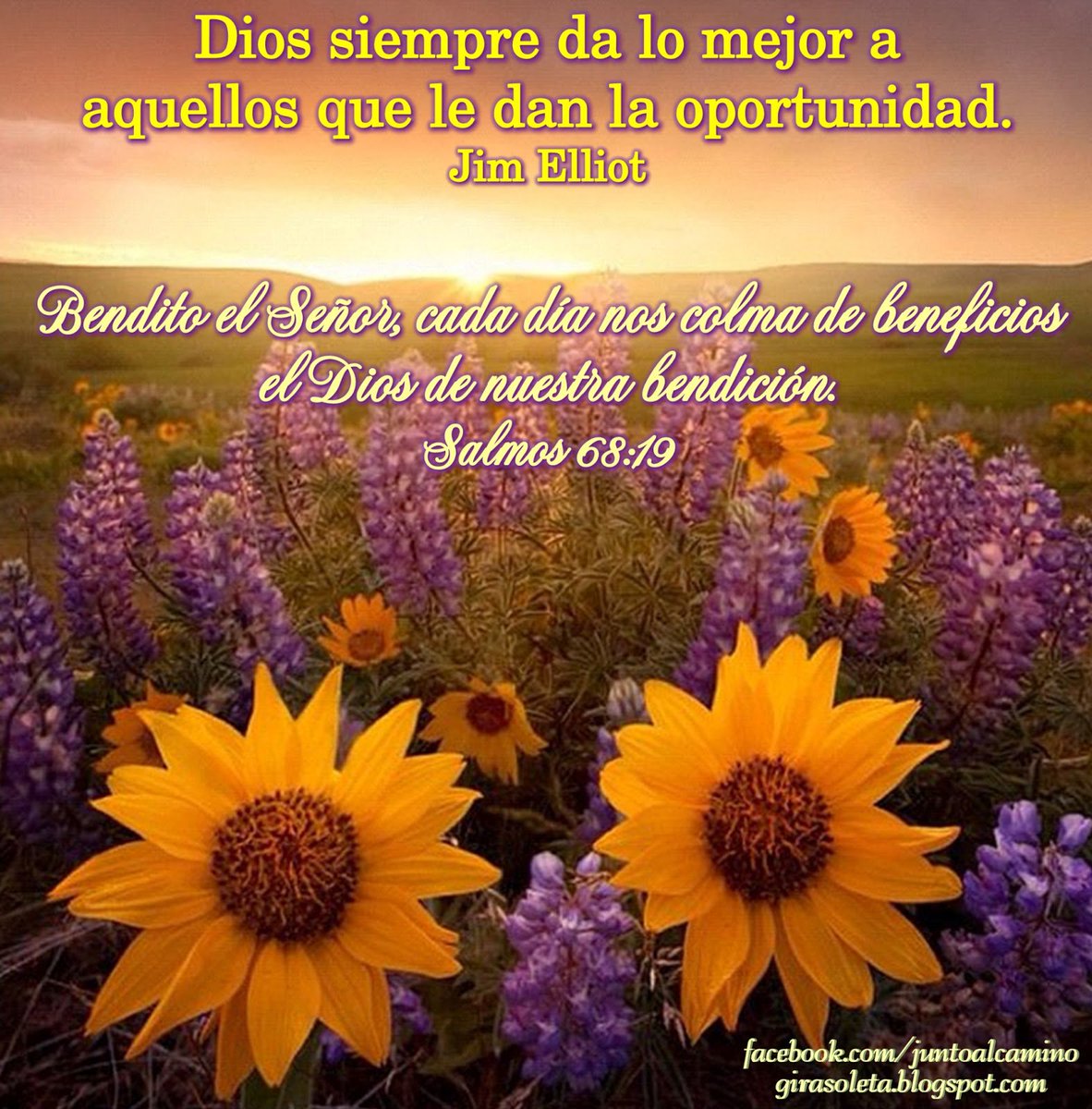 TorFortte's tweet image. #8Nov
Dios hace habitar en familia a los desamparados;
Saca a los cautivos a prosperidad;
Mas los rebeldes habitan en tierra seca
salmo68:6