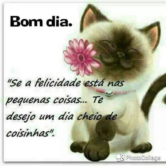 #bomdiabetas #betaseguebeta #betalab #BetaQuerLab