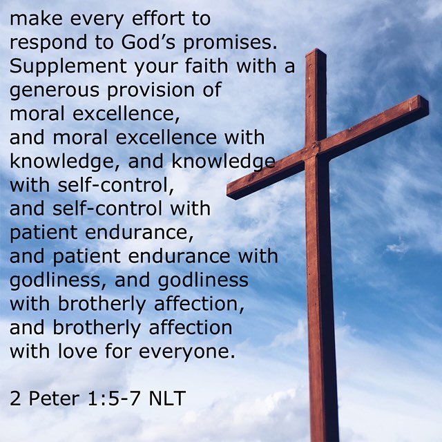 1gracenpeace's tweet photo. #writetheword #cultivatewhatmatters #hellomornings #sabbathsociety #GodMovePlan https://t.co/Y2HcDK0nI2 https://t.co/ae5TcCUdS5