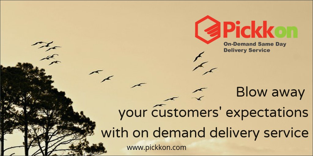 Pickkondelivery's tweet photo. Why do geese fly in a V? It conserves their energy and it's easy to keep track of every bird in the group! We believe in this biz-philosophy https://t.co/KzyAnPs6uv
