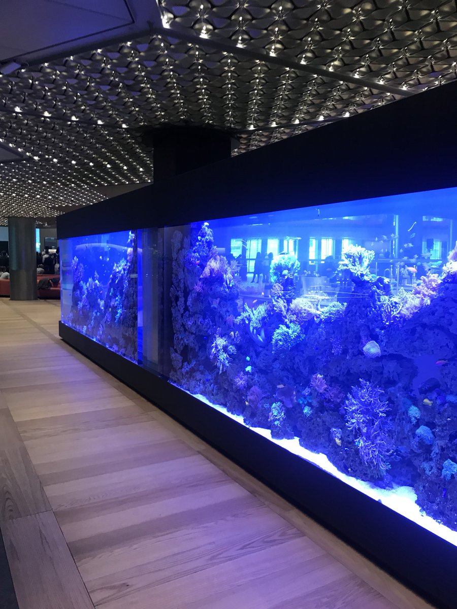 OnePoultry's tweet image. Welcome to the neighbourhood @business @FosterPartners