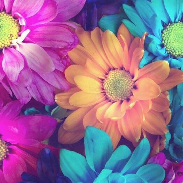 bm552922's tweet photo. Hey#Liveme bm552922 https://t.co/gBXZz89ux2 https://t.co/MHSn5iE6D3