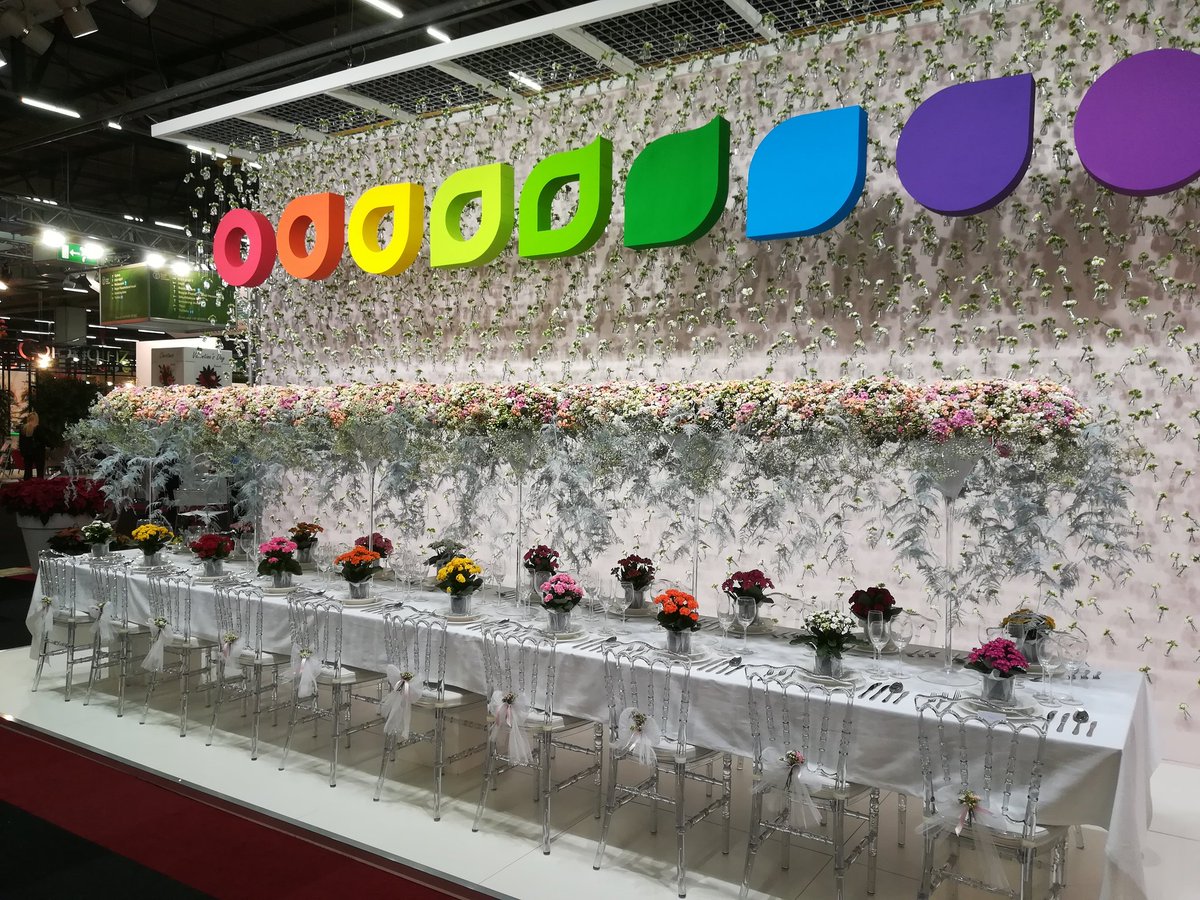 RFHTradeFair's tweet photo. Fraai statement van @heleenvalstar @Slijkermankalan : what's for dinner? #kalanchoe https://t.co/Q0QWpkvR5n