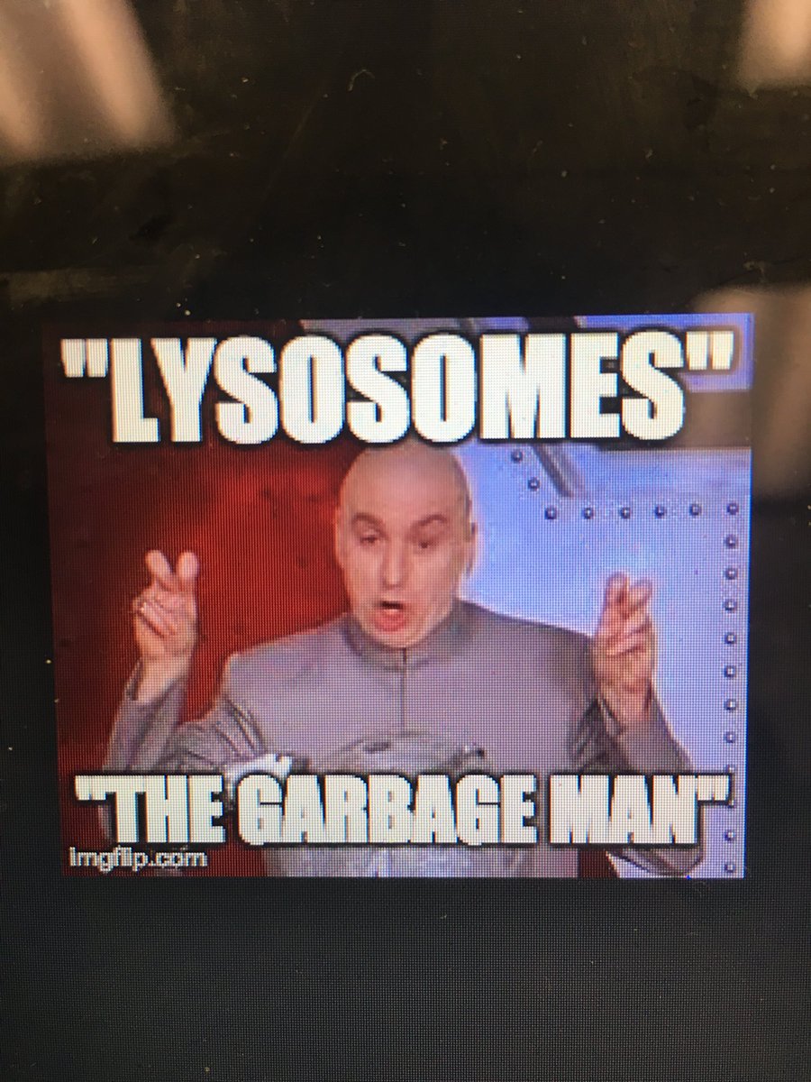 Ribosomes362's tweet photo. @Guzlogy @V__V__L https://t.co/z8rfjgeriH