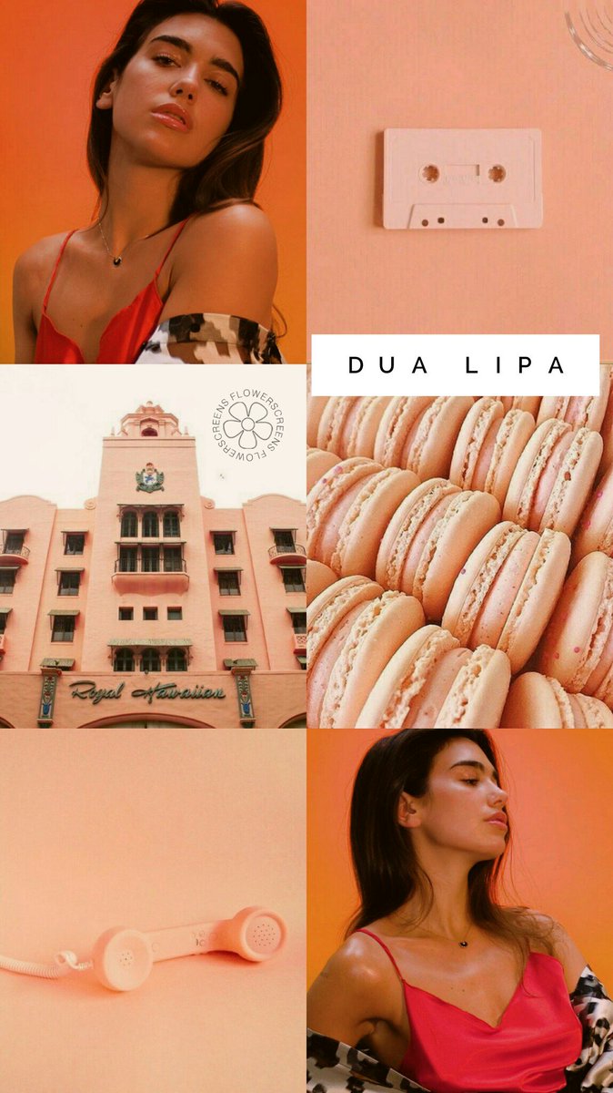 FlowerScreens's tweet image. Dua Lipa🍂
•Fav se gostar
•RT se salvar
•Print se usar
/Joana