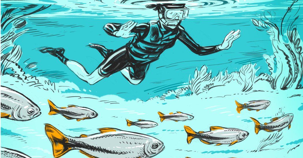 Travel Tips: A Luxury Vacation to Brazil for Less buff.ly/2yEg9W2