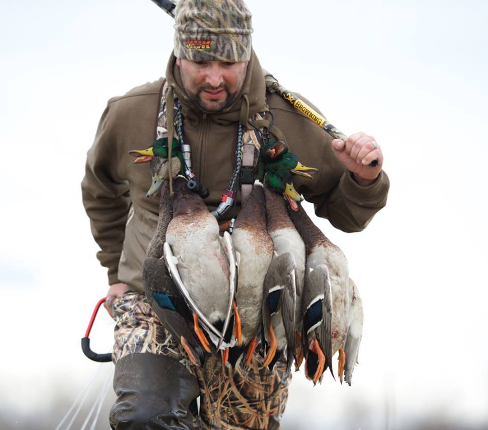 ZinkCallsAvianX's tweet photo. Our favorite kind of walks! https://t.co/umVbScyy3o