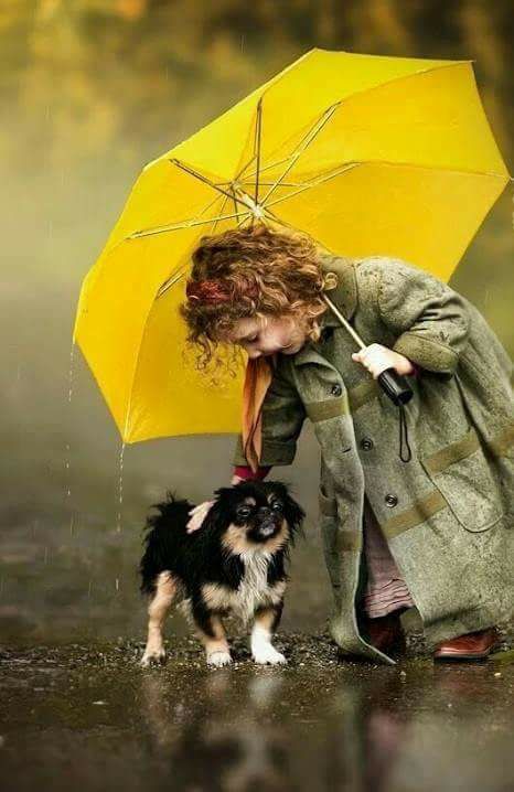 Philomena Gabriel (@alchemist900) on Twitter photo 