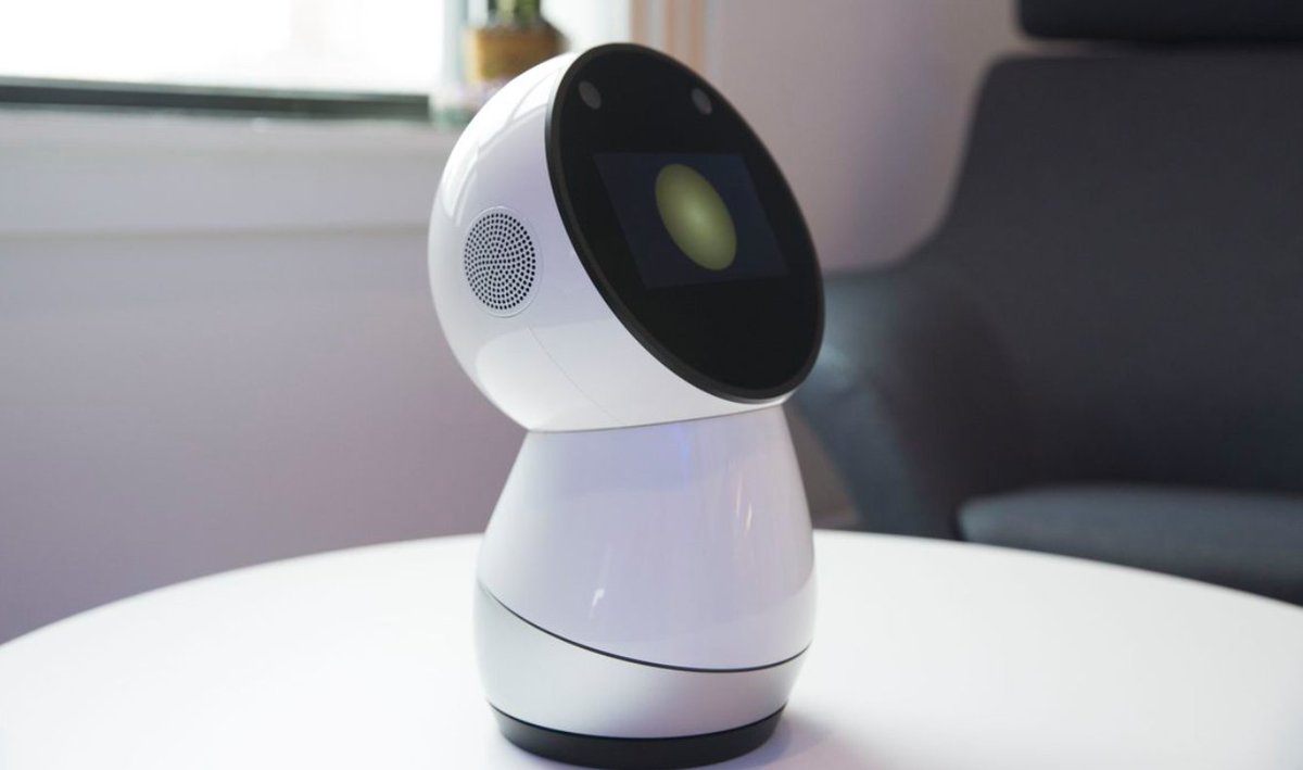 jibo review