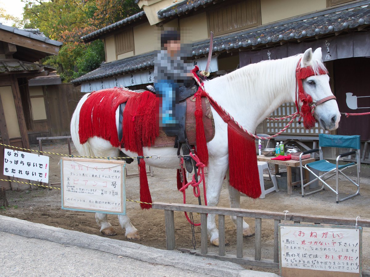 Takatan 東映太秦映画村 日本橋の近くにお馬さんとポニーがいます 白馬はnhk時代劇 一路 に出演したビアンコ号 ポニーは元気君 有料で乗ることが出来ます 1 2枚目は9月撮影