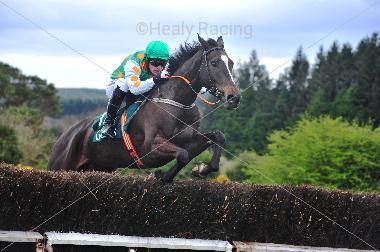 p2p.ie (@irishp2p) on Twitter photo More first time out track winners for Spring 4yo P2P grads, as Inch winner, CHOOSEYOUREAPON wins at Chepstow for <a href="/EWilliamsRacing/">Evan Williams</a> More first time out track winners for Spring 4yo P2P grads, as Inch winner, CHOOSEYOUREAPON wins at Chepstow for <a href="/EWilliamsRacing/">Evan Williams</a>