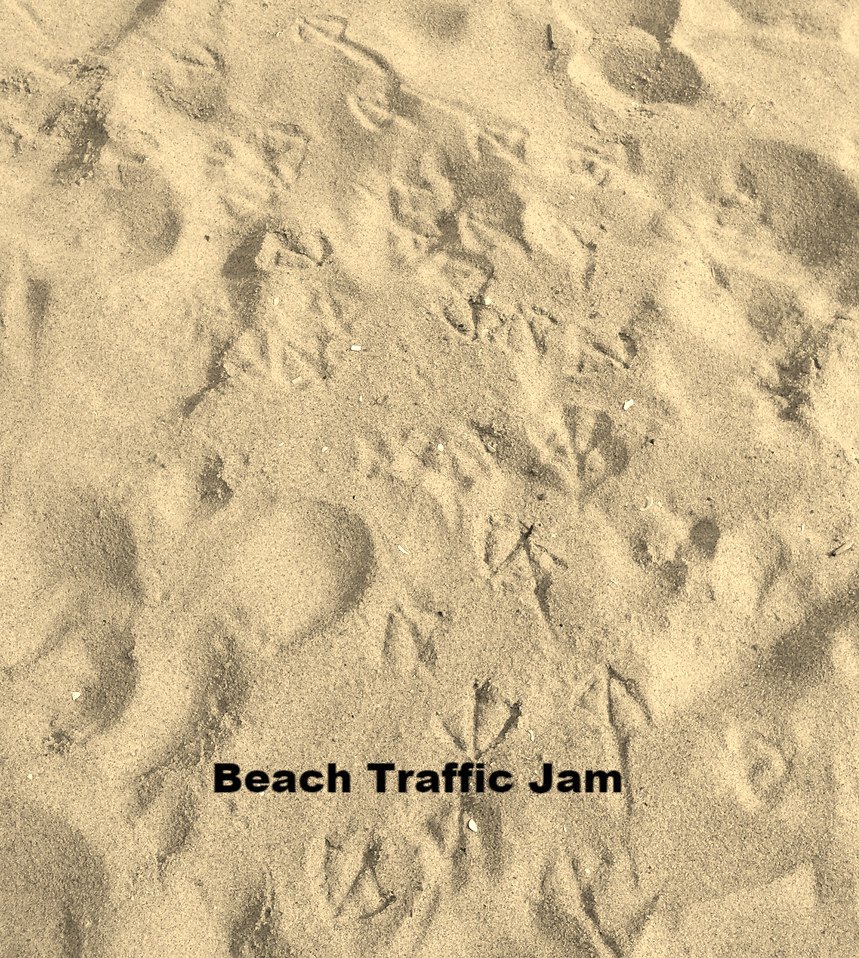SiebertRealty's tweet photo. I'll take this kind of traffic jam any day. 

#beachdays #sandbridgebeach #siebertrealty https://t.co/nJZ6VJhjIZ