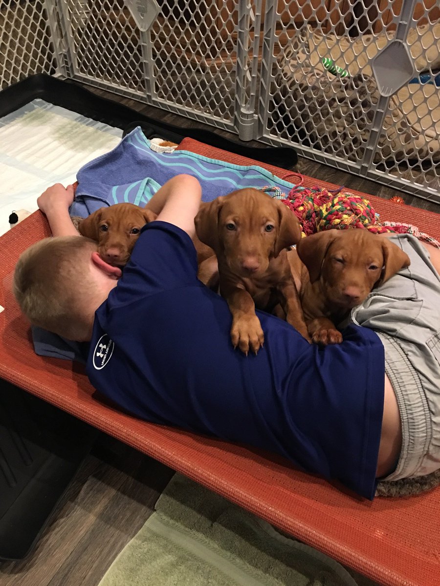 Our world is a mess...I've witnessed horrible injustice, pain,and misery; yet,I still love the blessing of being alive..interacting with others..seeing kindness, innocence, and pure joy on occasion.  Our time is limited..spend it wisely.  Someone is cruel stay away embrace LOVE!