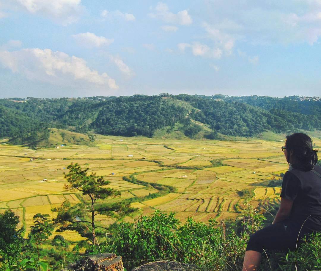 Somewhere near Tyrshi Falls, Meghalaya.
P.C. Shreya Guha
