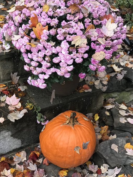 falling_flower