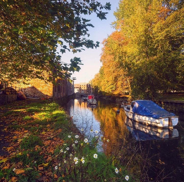 thedevonnetwork's tweet image. Autumnal scenes 🍂 along the River Dart In Totnes... who has been to this quirky town?? #autumn #devonlife #visitdevon #discoverdevon