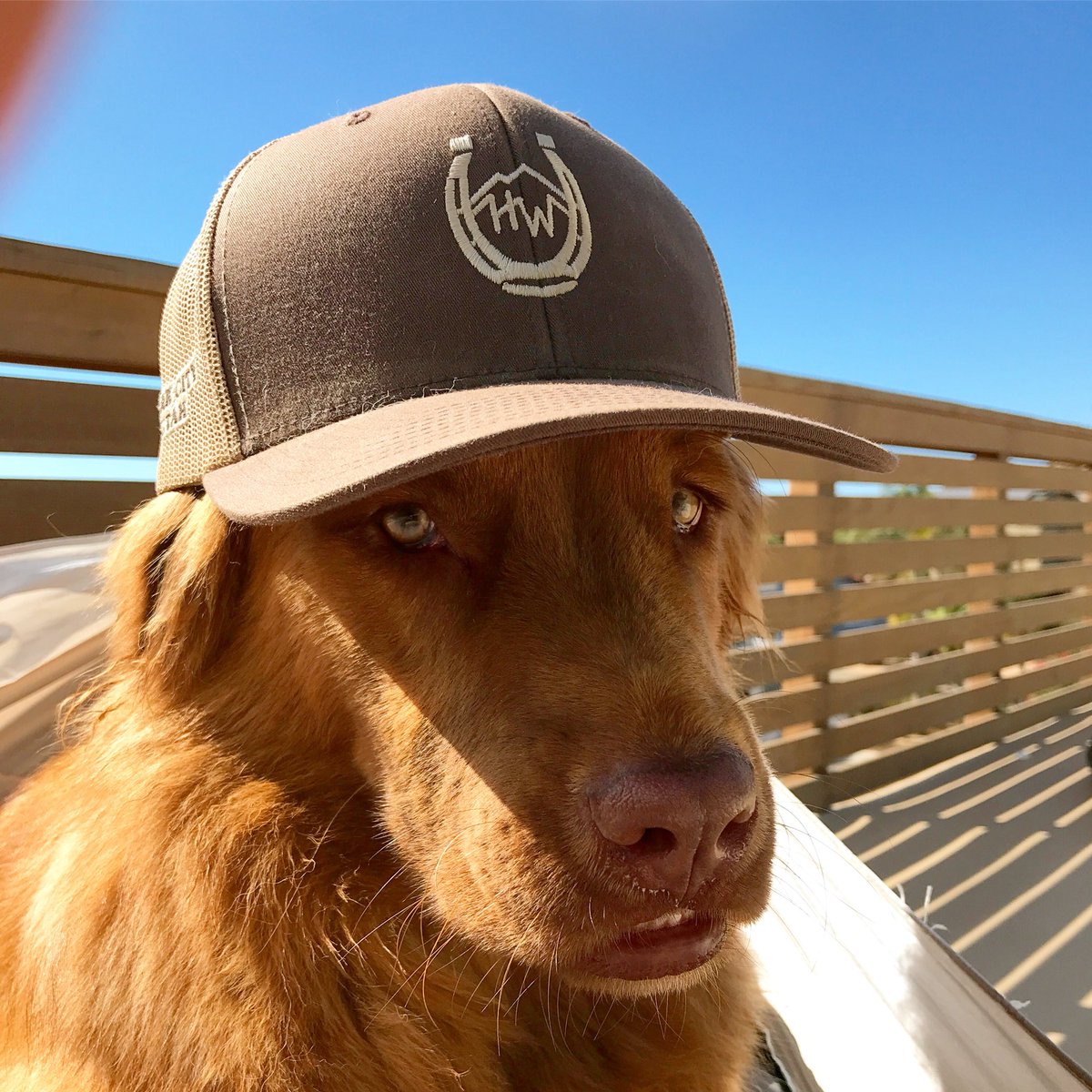 Yo what you’re looking at