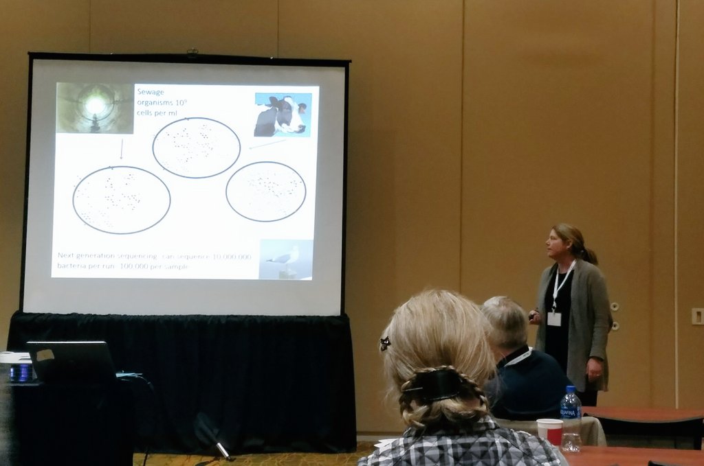 Urban Micro Ecology tweet media