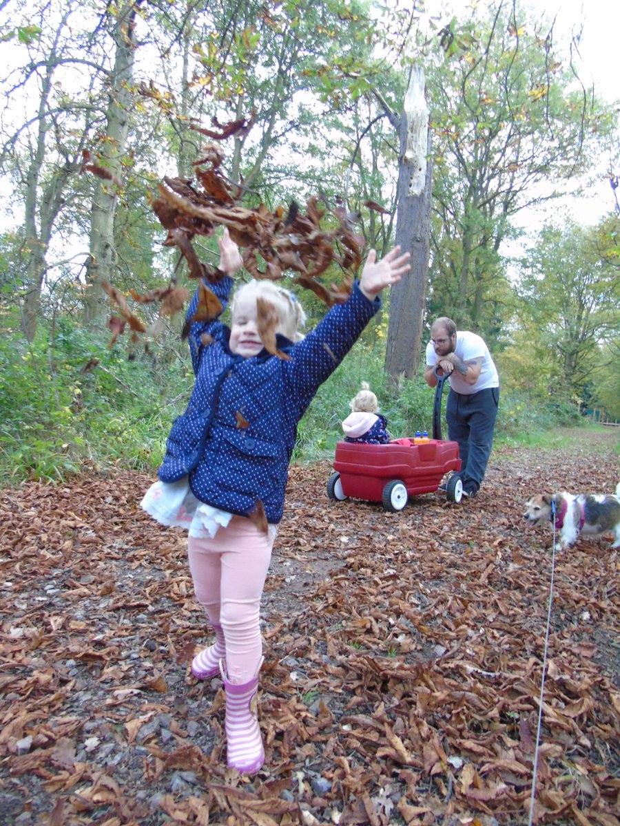 KayleighDClarke's tweet photo. We have had lots of fun this Autumn. Check out my blog Mummys Muddy Monsters https://t.co/stERzYEPYE #autumn #autumnactivities #parenting #toddlers #autumnideas #toddlersideas #autumnfun https://t.co/8ueNWaDpPg
