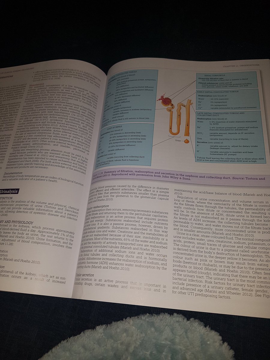 chloe_sttn's tweet photo. Bedtime reading π΄ #renalsystem #urinalysis #anatomyandphysiology #theroyalmarsden https://t.co/FRp3ApLxjC