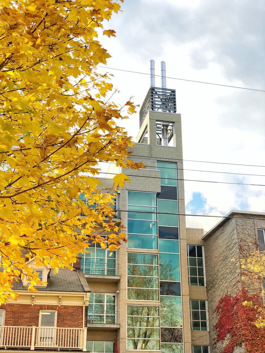 queensu's tweet photo. Fall on campus continues to impress 😍💙💛❤️ https://t.co/DxI7uivTkY