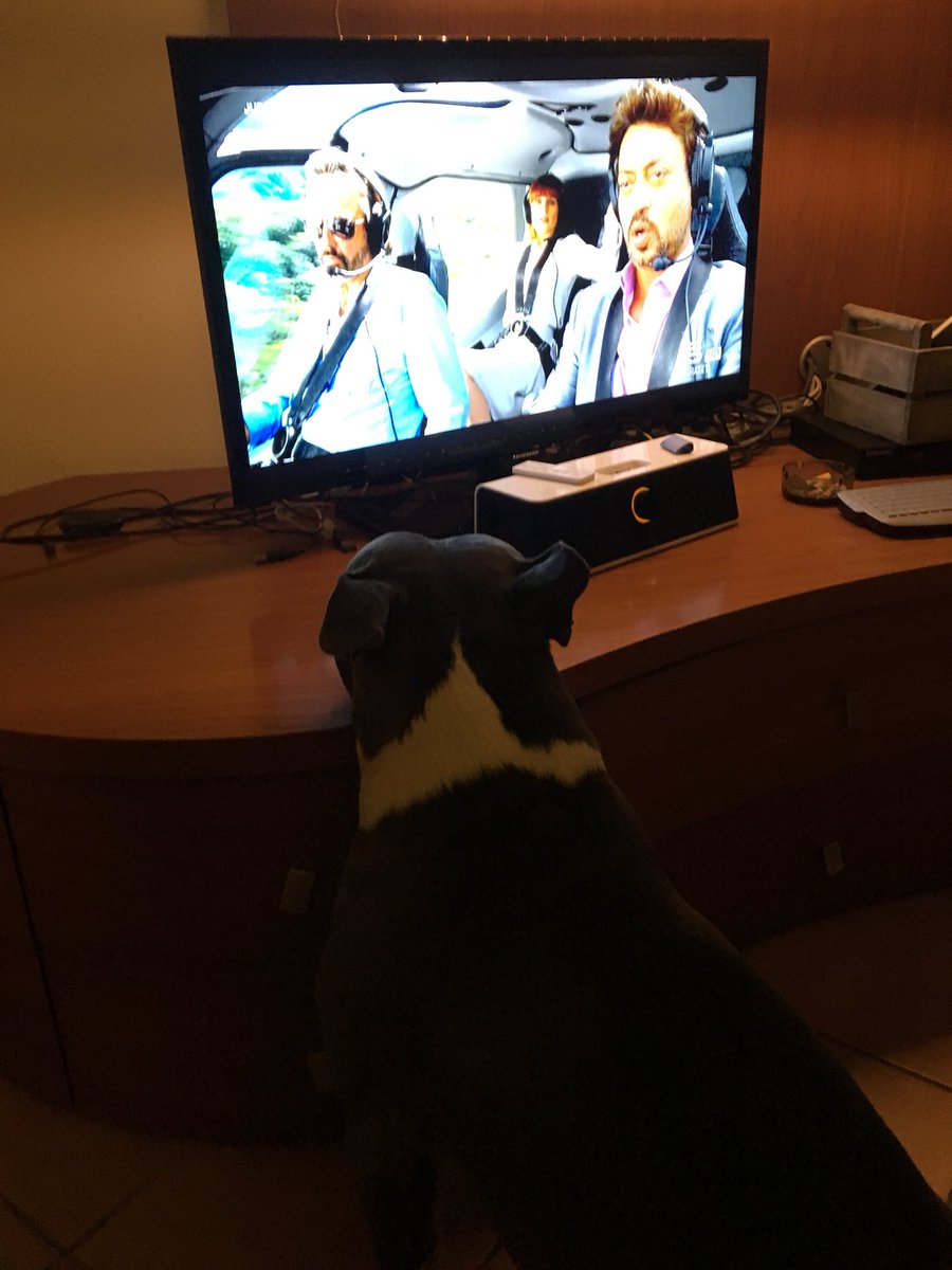 beguhd's tweet image. Jurassic Sandro