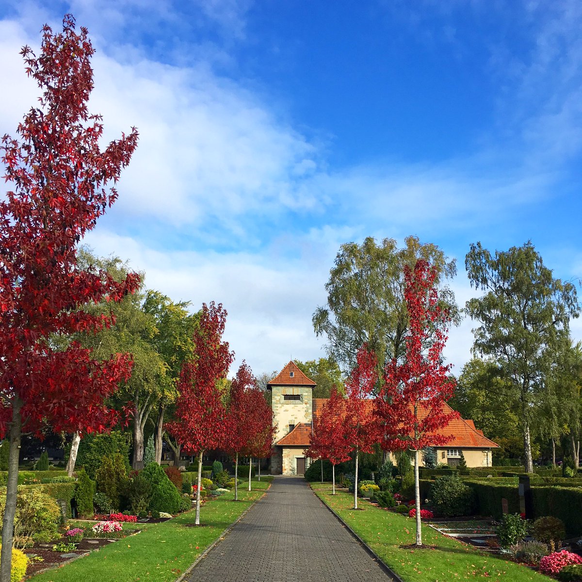 Friedhof an der Nordstraße, Rheydt 🍁#mg_anders_sehen #herbst