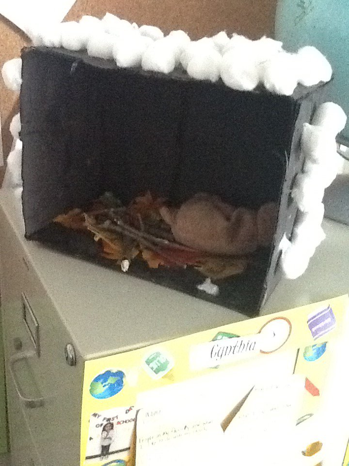 unityheadstart's tweet image. The nature center came to visit our class. We talked about hibernation. We read "Time to sleep" and  our friends made a cave for our bear to sleep #scpsi