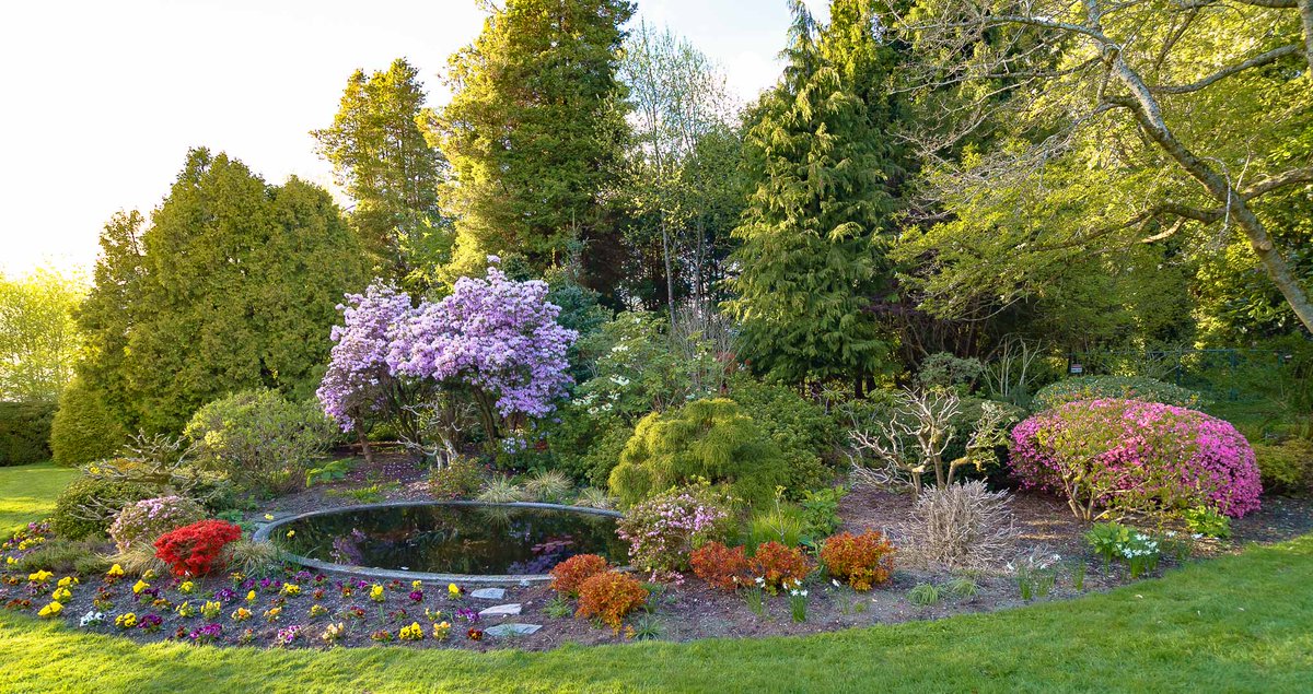 Looking back on our beautiful pond this summer • Photo by <a href="/Meimento/">Meimento</a>  •
#weddingvenue  #weddingideas #cecilgreenparkhouse #cecilgreenweddings
