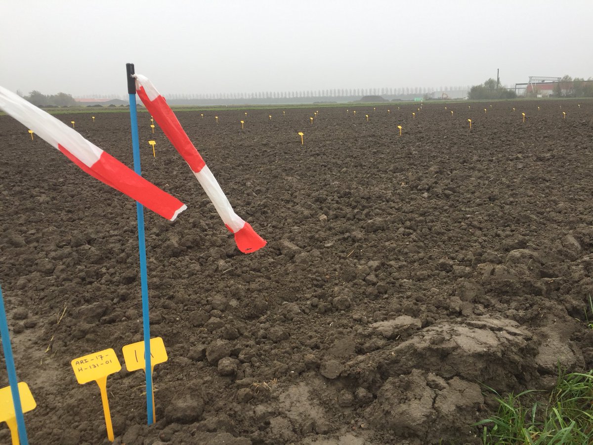 janslik's tweet photo. Afgelopen week onkruid demo #wintergraan aangelegd op de demo van @iperen_nl een groot aantal verschillende producten en combinatie’s vooropkomst en straks na opkomst toegepast @BASFagronl @BayerCropNL @Syngenta_BNL https://t.co/0vrLAQ3X4V